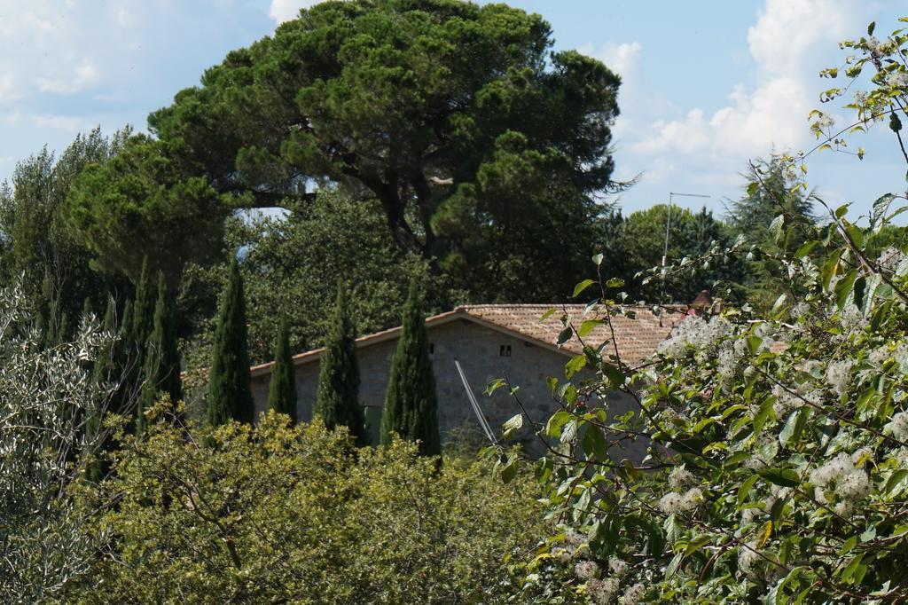 Bed and Breakfast Casa Lucia In Chianti à Vagliagli Extérieur photo