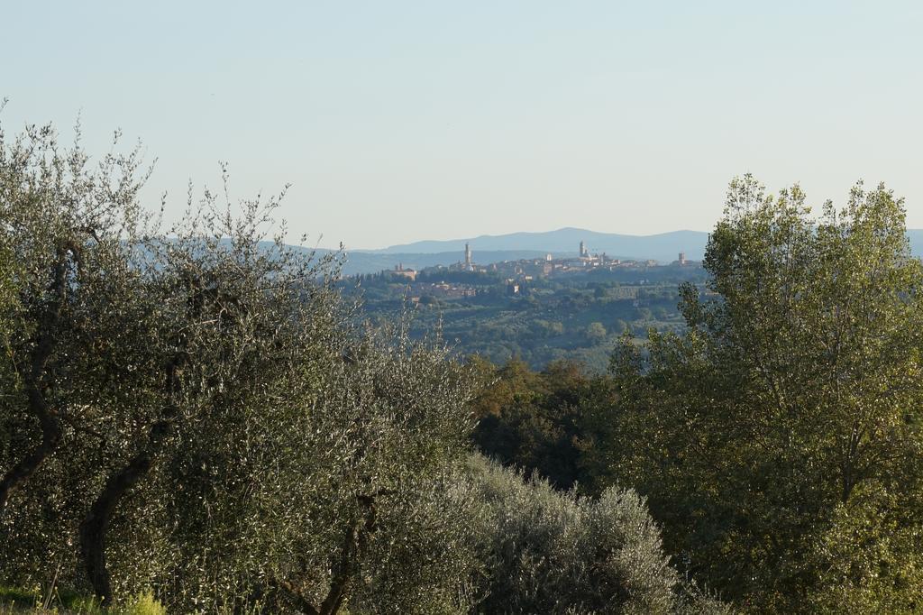 Bed and Breakfast Casa Lucia In Chianti à Vagliagli Extérieur photo