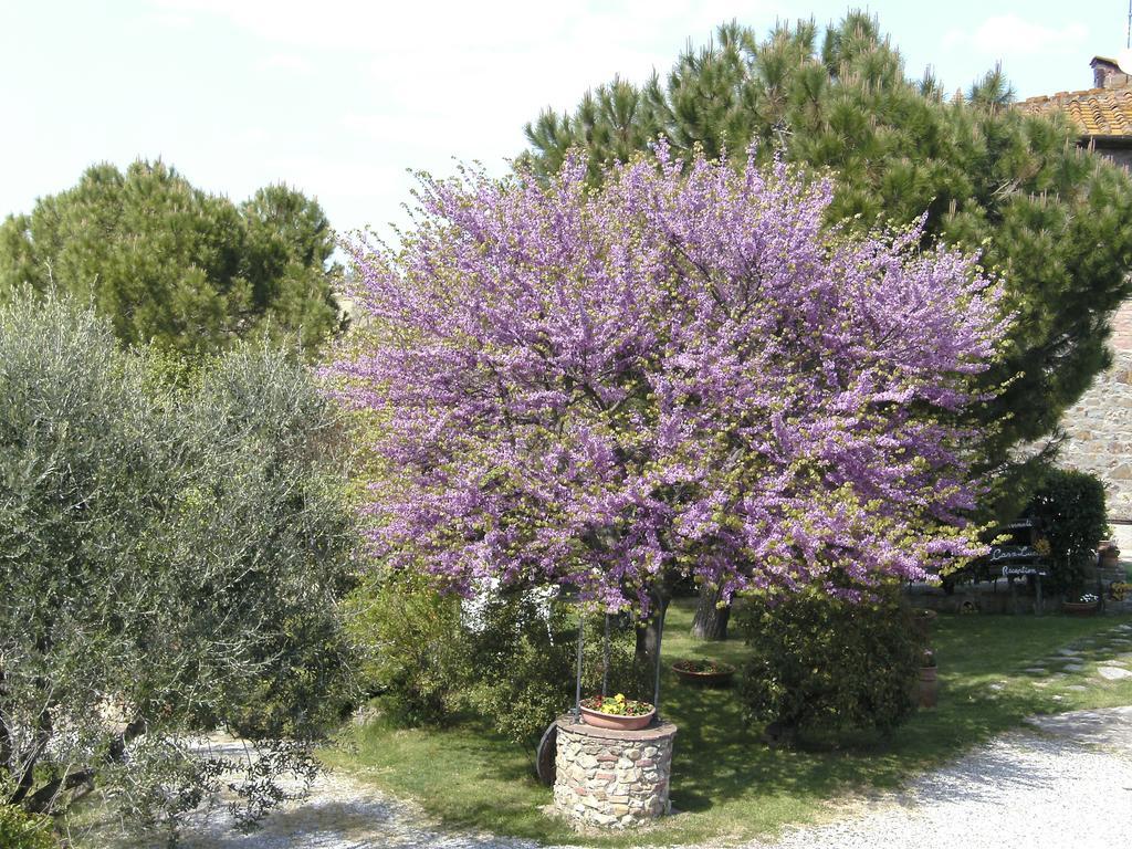 Bed and Breakfast Casa Lucia In Chianti à Vagliagli Extérieur photo